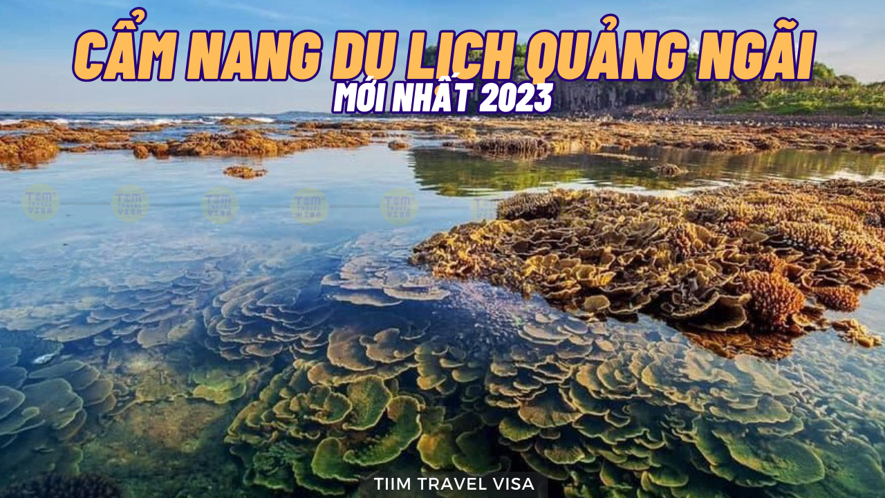 Cẩm nang du lịch Quảng Ngãi mới nhất 2023