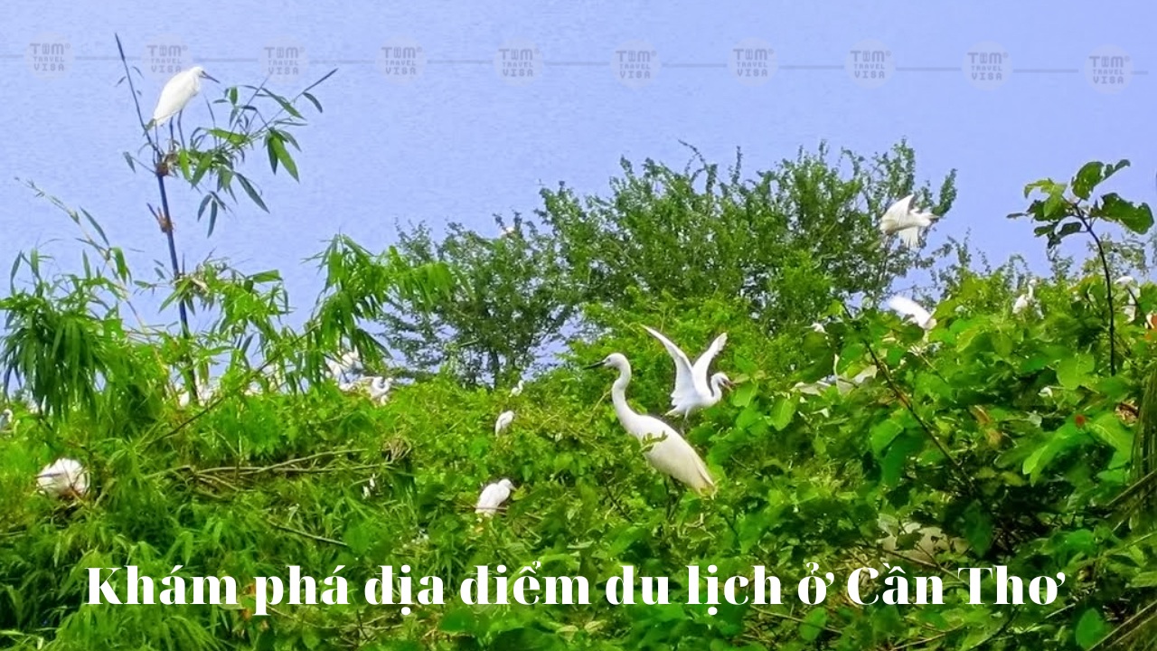 Khám phá các địa điểm du lịch ở Cần Thơ đẹp nhất năm 2023