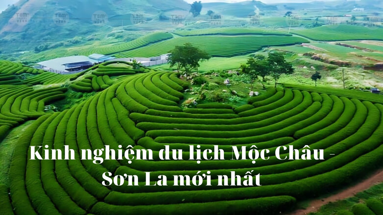 Kinh nghiệm du lịch Mộc Châu - Sơn La mới nhất