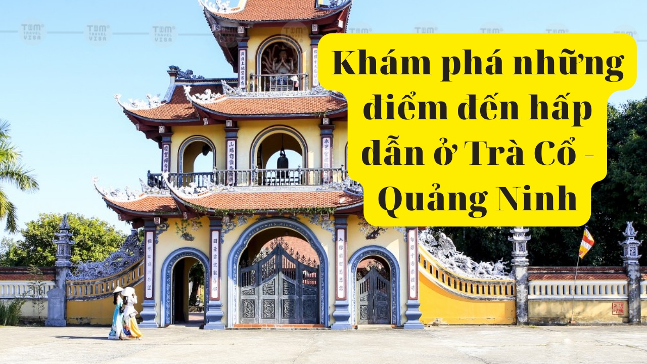 Khám phá những điểm đến hấp dẫn ở Trà Cổ Quảng Ninh