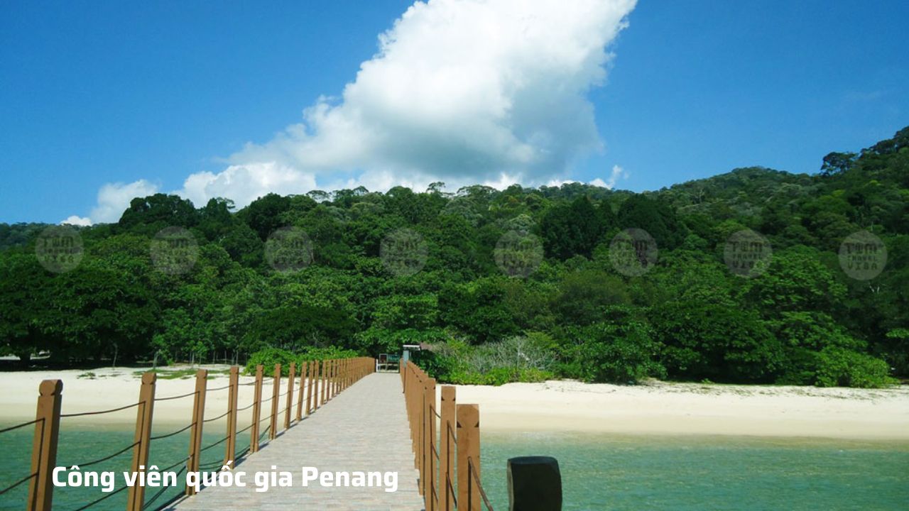  Công viên quốc gia Penang