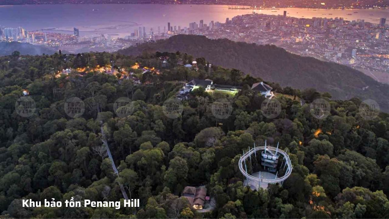  Khu bảo tồn Penang Hill
