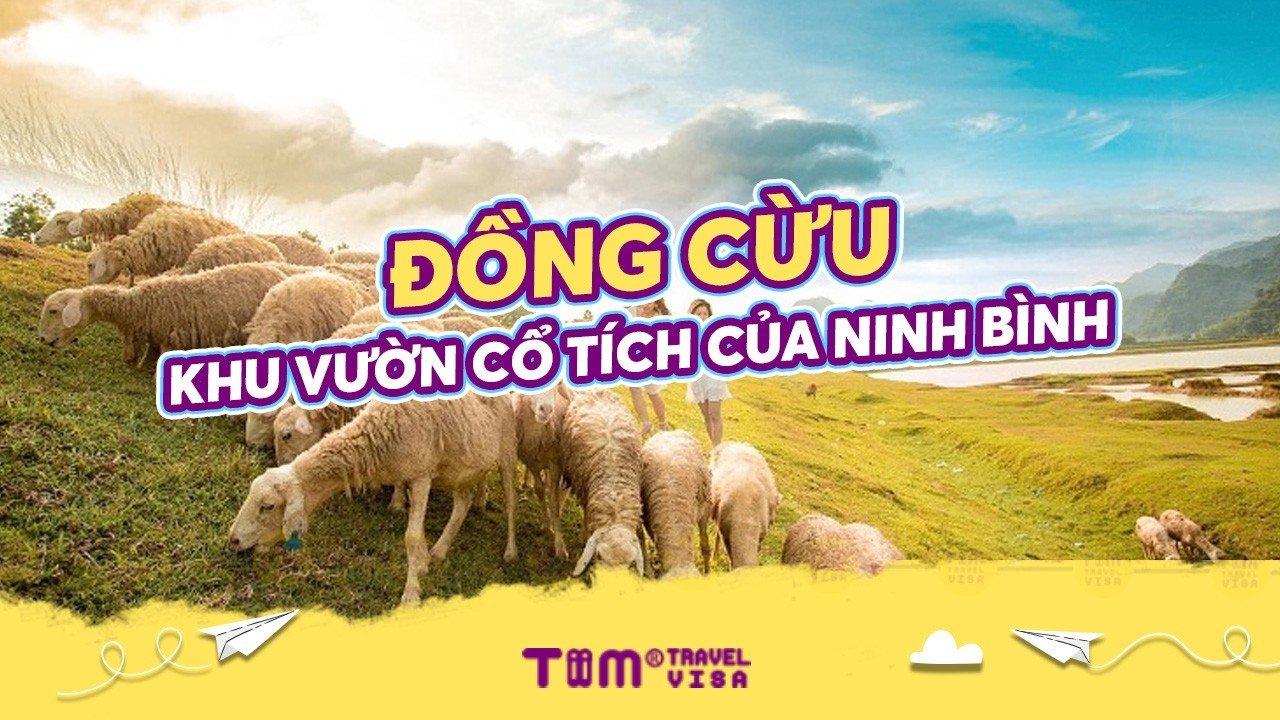 Đồng cừu - Khu vườn cổ tích của Ninh Bình 