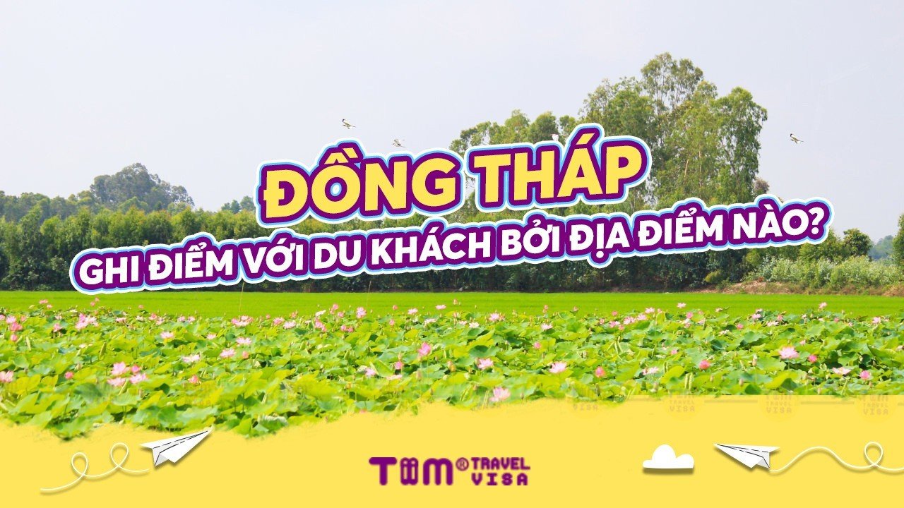 Những địa điểm du lịch Đồng Tháp đẹp và nổi tiếng nhất