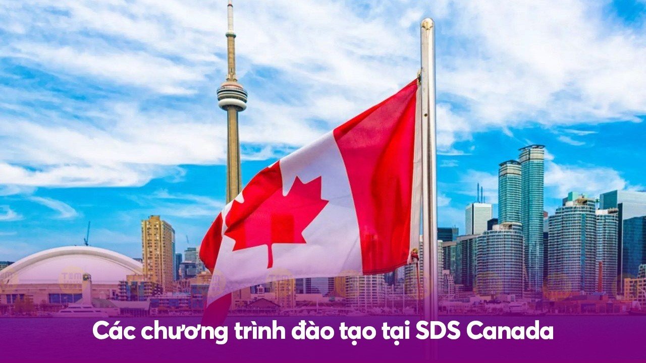 Các chương trình đào tạo tại SDS Canada