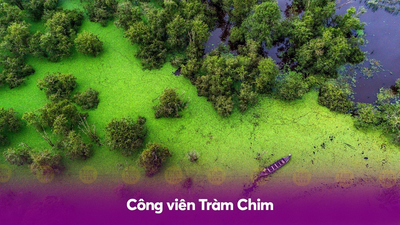 Địa điểm tham quan Đồng Tháp: Công viên Tràm Chim