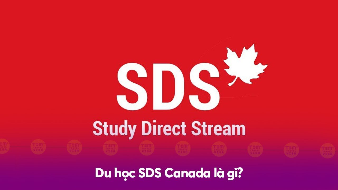 Du học SDS Canada là gì?