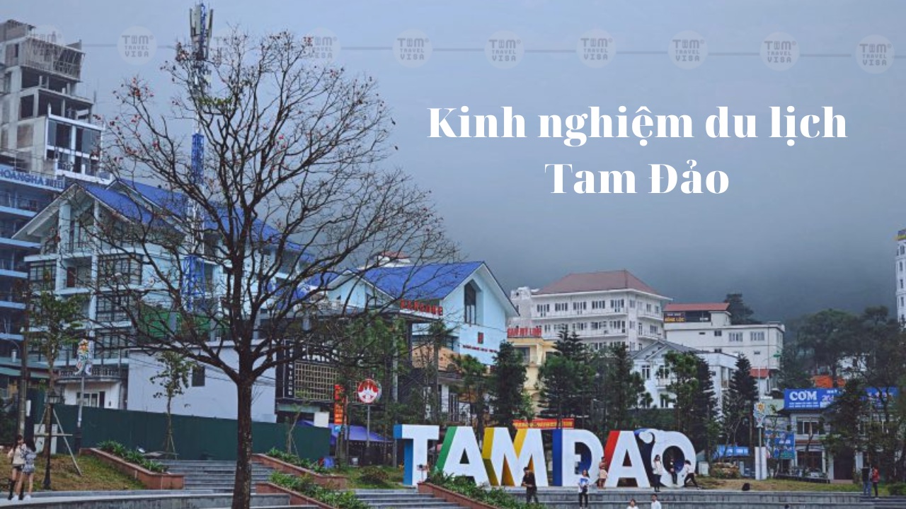 Kinh nghiệm du lịch Tam Đảo chi tiết cho giới trẻ mê xê dịch