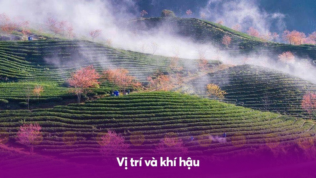 Vị trí và khí hậu 