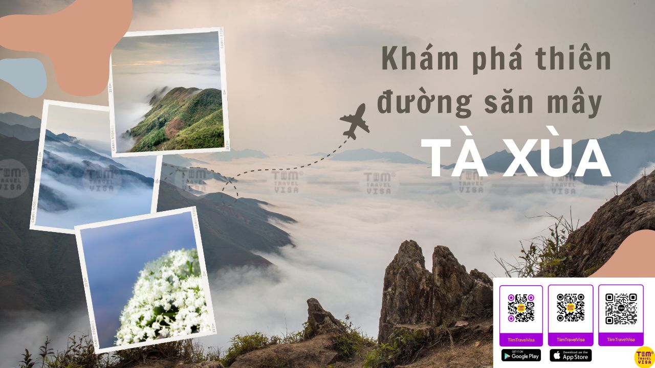 Tà Xùa ở đâu? Kinh nghiệm săn mây Tà Xùa chi tiết nhất