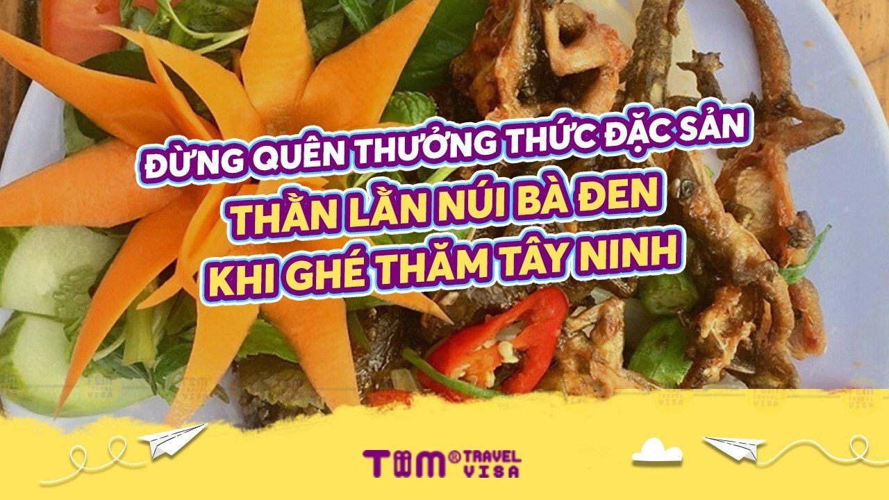 Thằn lằn núi Bà Đen: Đặc sản Tây Ninh hiếm có khó tìm