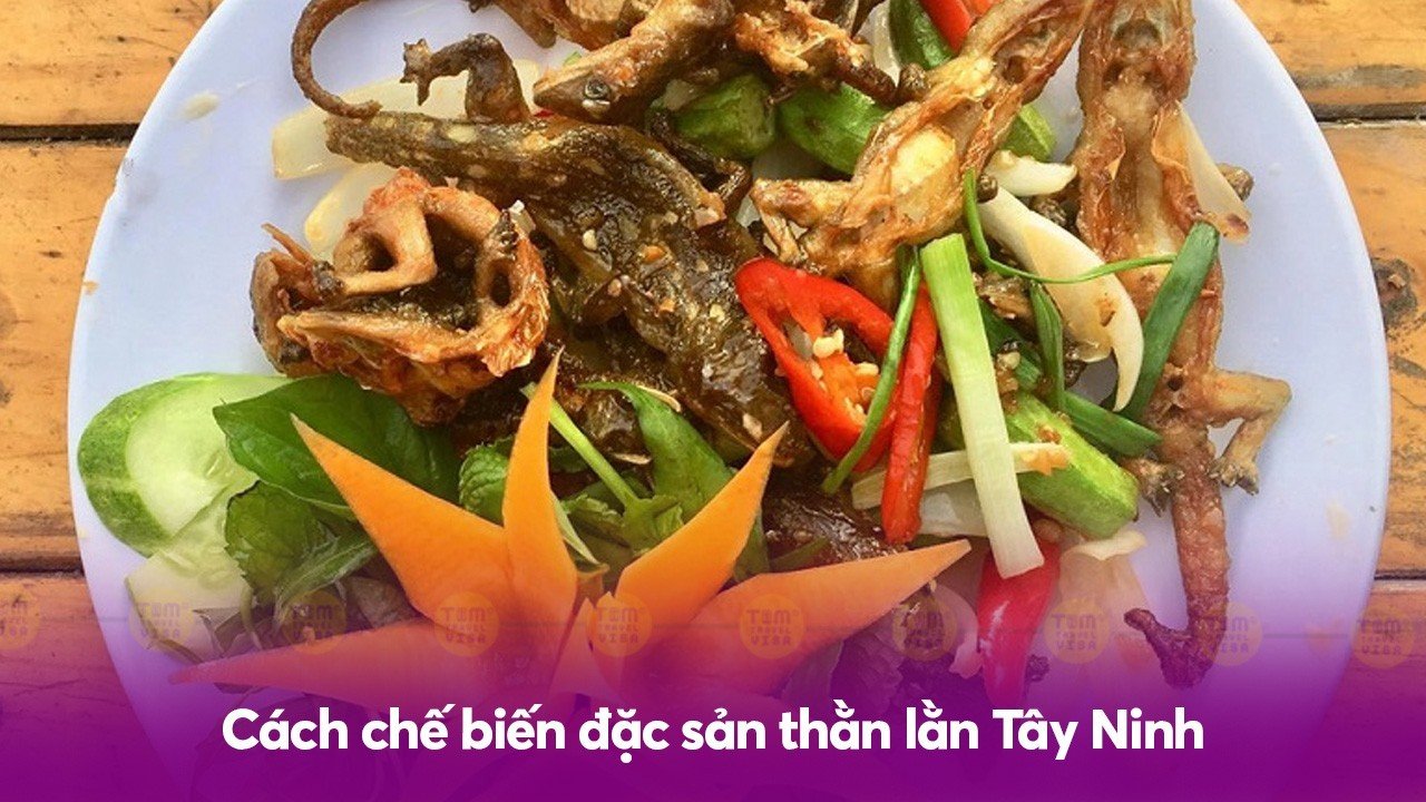 Cách chế biến đặc sản thằn lằn Tây Ninh