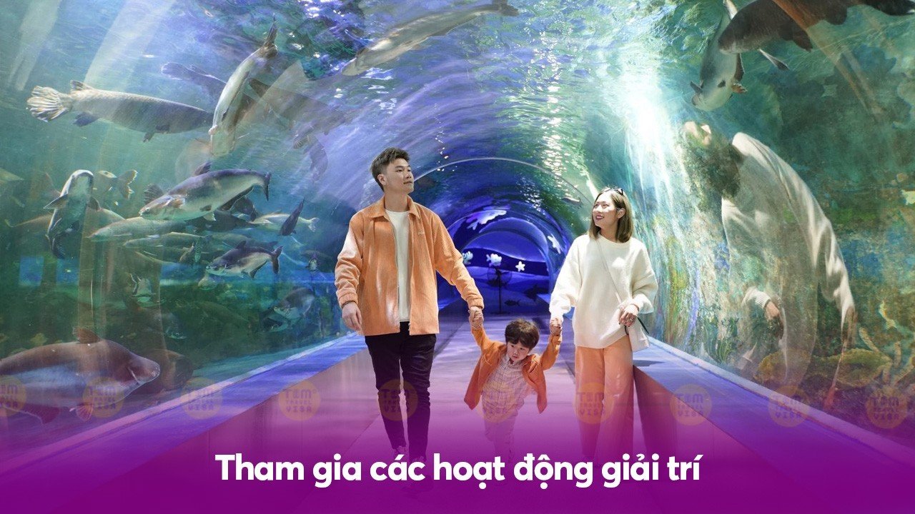 Thủy cung thiên đường Bảo Sơn