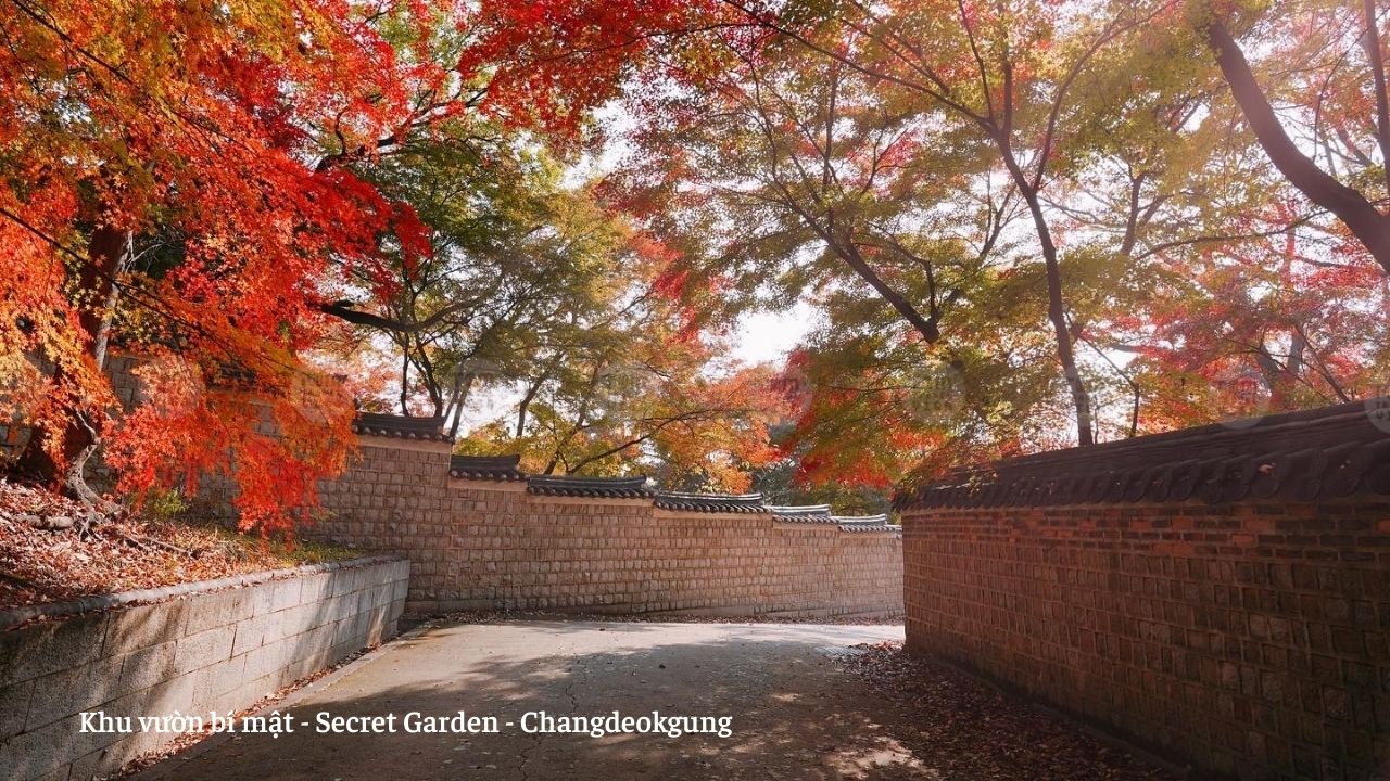 Lợi ích và giá trị của việc khám phá Secret Garden cho du khách