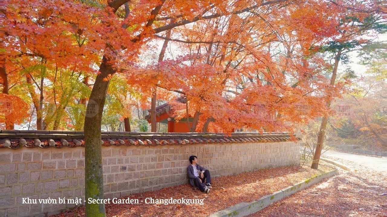 Thiết kế và cảnh quan của Secret Garden