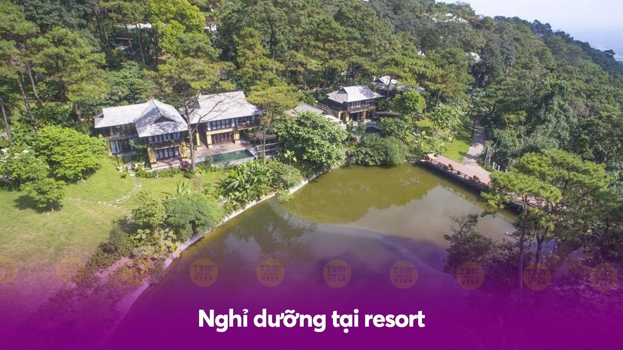 Nghỉ dưỡng tại resort