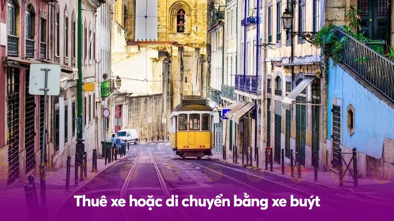 Thuê xe hoặc di chuyển bằng xe buýt