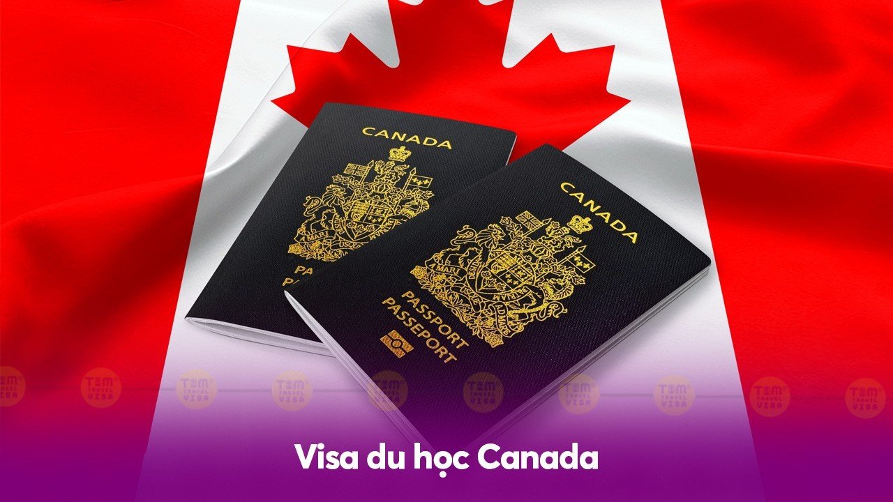 Visa du học Canada