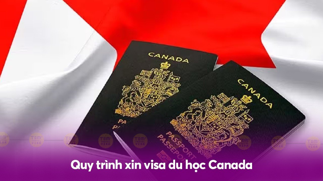 Quy trình xin visa du học Canada