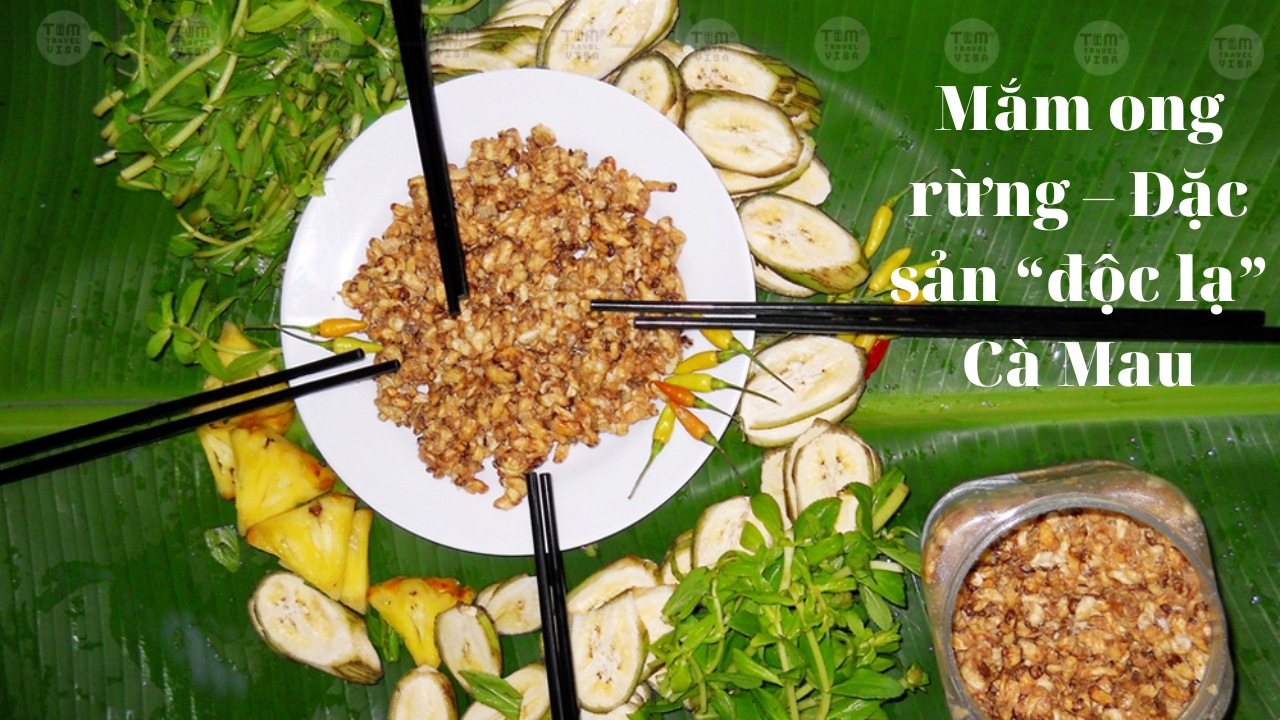 Mắm ong rừng – Đặc sản “độc lạ” Cà Mau