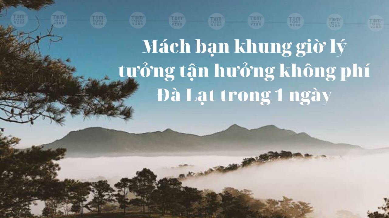 Mách bạn khung giờ lý tưởng tận hưởng không phí Đà Lạt trong 1 ngày