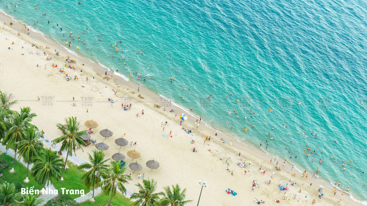 Tắm biển tại bãi biển Nha Trang