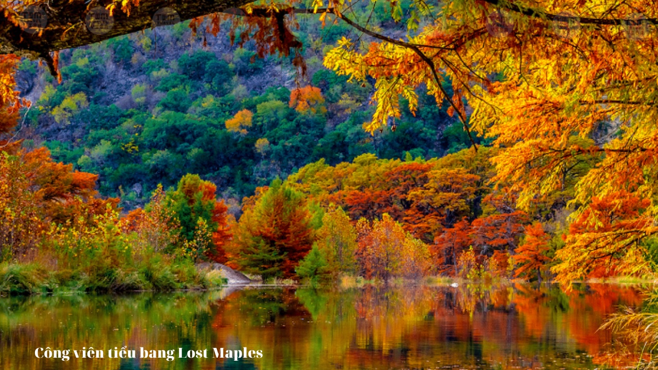 Công viên tiểu bang Lost Maples 