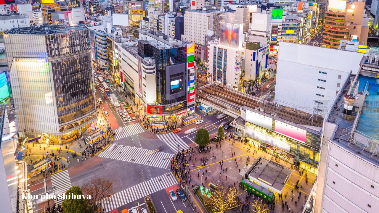 Khu phố Shibuya nổi tiếng với khu trung tâm giao thông tấp nập