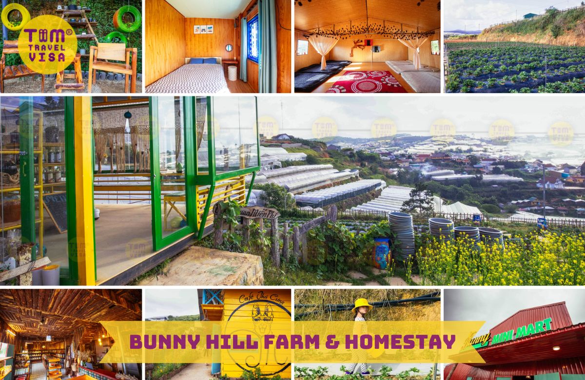 Bunny Hill Farm & Homestay