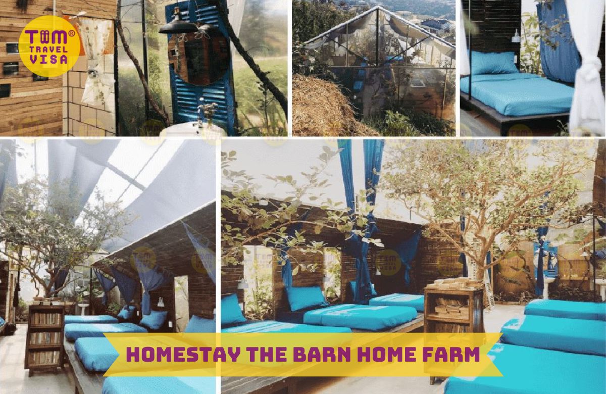 Homestay The Barn Home Farm Đà Lạt