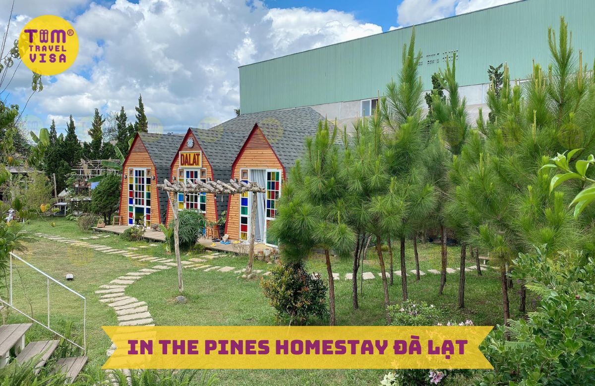 In The Pines Homestay Đà Lạt