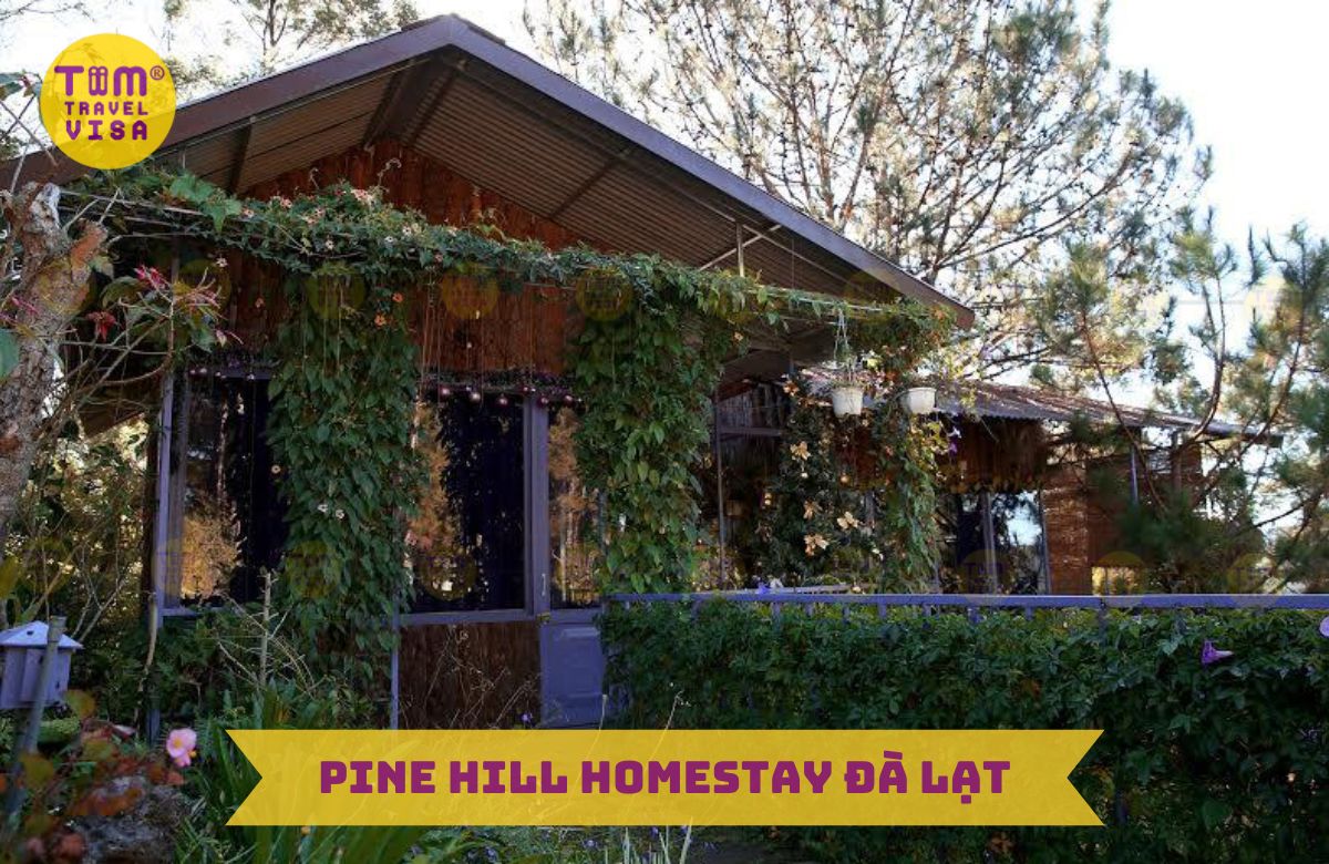 Pine Hill Homestay Đà Lạt - Ngôi nhà trên cây