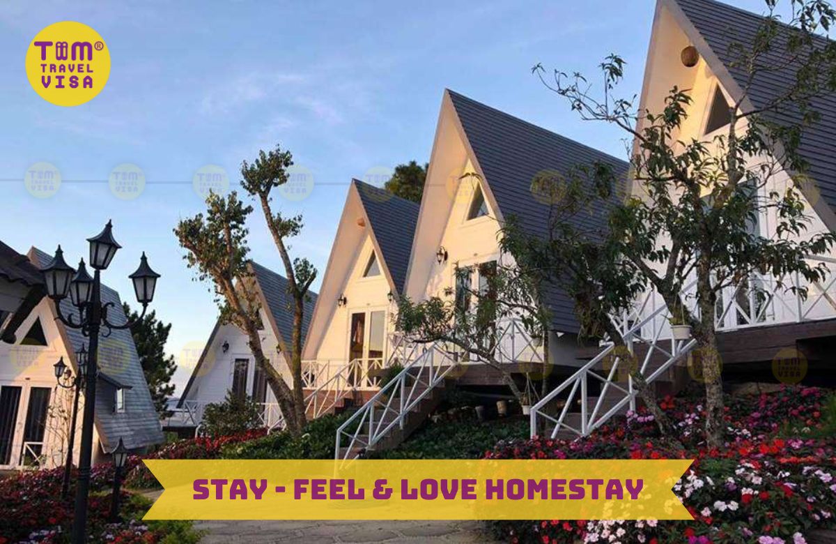 Stay - Feel & Love Homestay Đà Lạt View đẹp