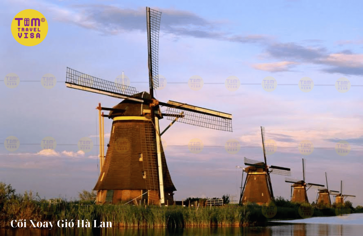 Cối xoay gió Hà Lan