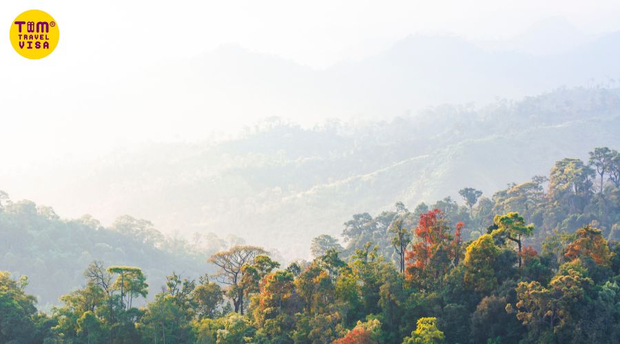 Khao Yai - Du lịch sinh thái gần Bangkok