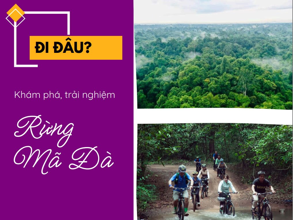 Tour Giáo Dục Độc Quyền: Trị An Mã Đà 2 ngày 1 đêm dành cho lứa tuổi 10-15