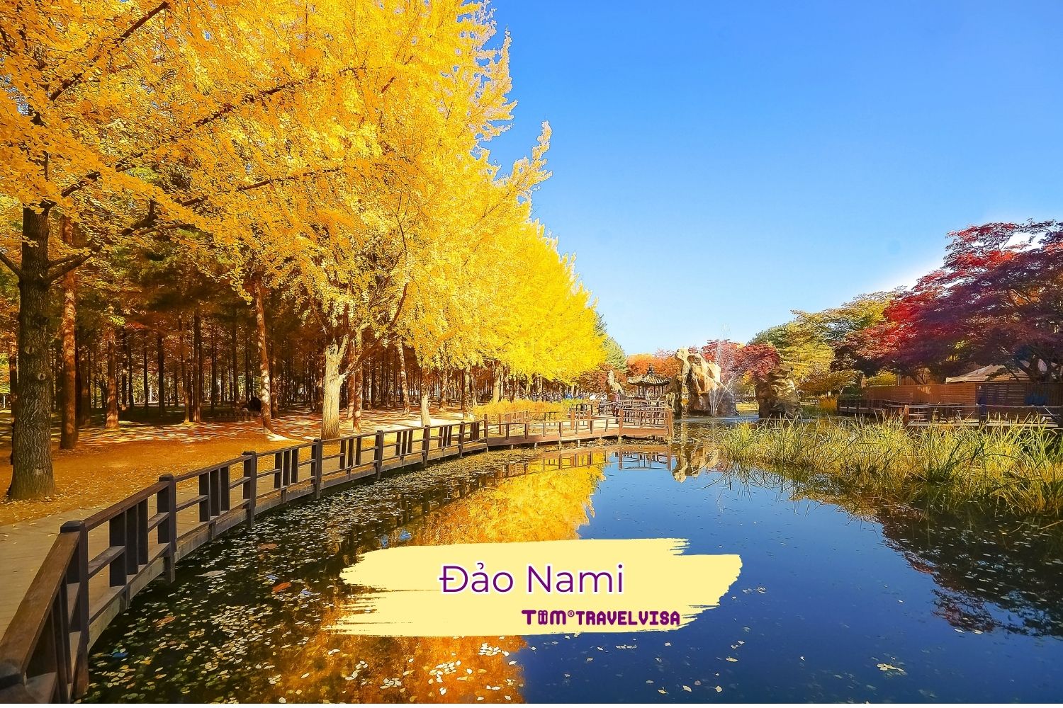 Đảo Nami - Tour Hàn Quốc Giá Rẻ - Khám Phá Xứ Sở Kim Chi - Tour Tháng 11,12/2024