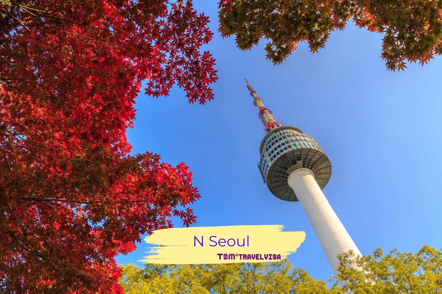 Tháp N Seoul - Tour Hàn Quốc Giá Rẻ - Khám Phá Xứ Sở Kim Chi - Tour Tháng 11,12/2024