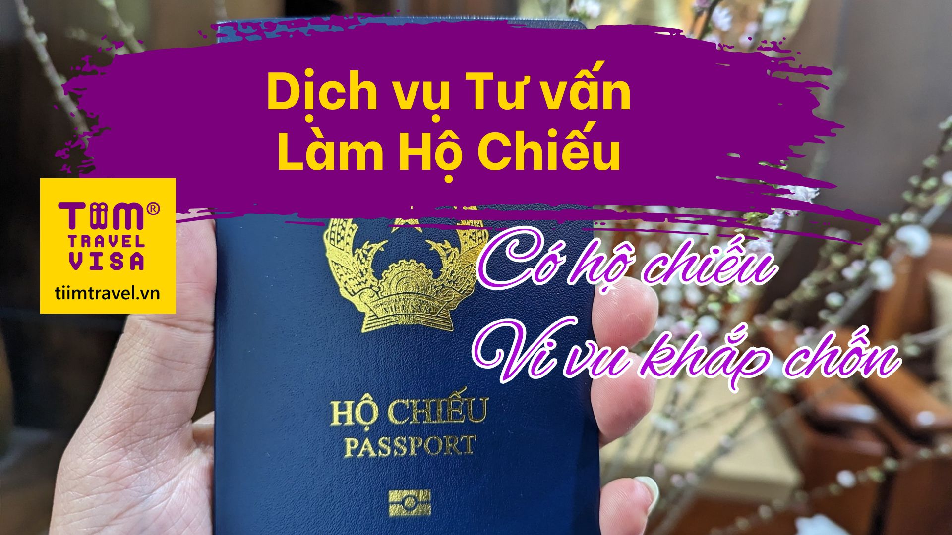 Làm hộ chiếu Việt Nam / Vietnam passport