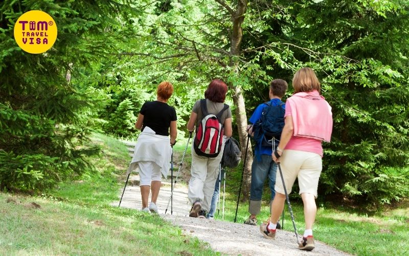 Gợi ý những Tour Trekking cùng Tiim Travel