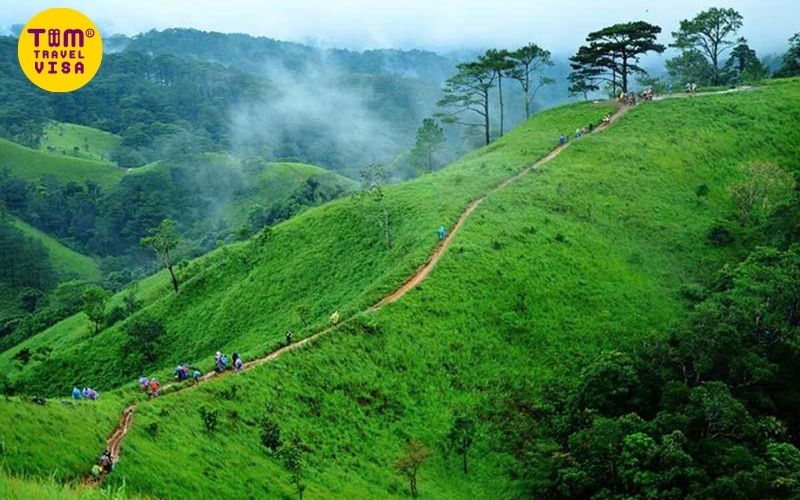 Trải nghiệm cung đường Tà Năng – Phan Dũng huyền thoại