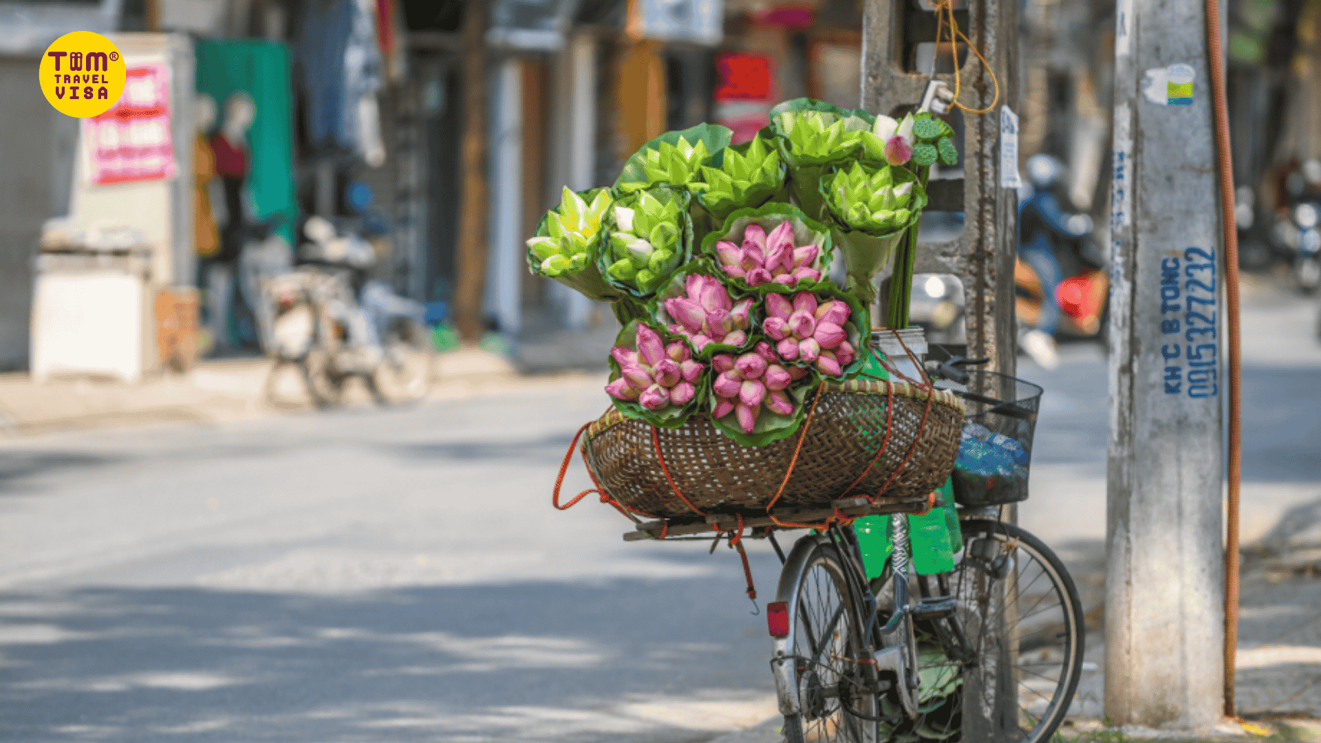 Du lịch gia đình mùa thu: Lãng mạn Hà Nội và những xe sen