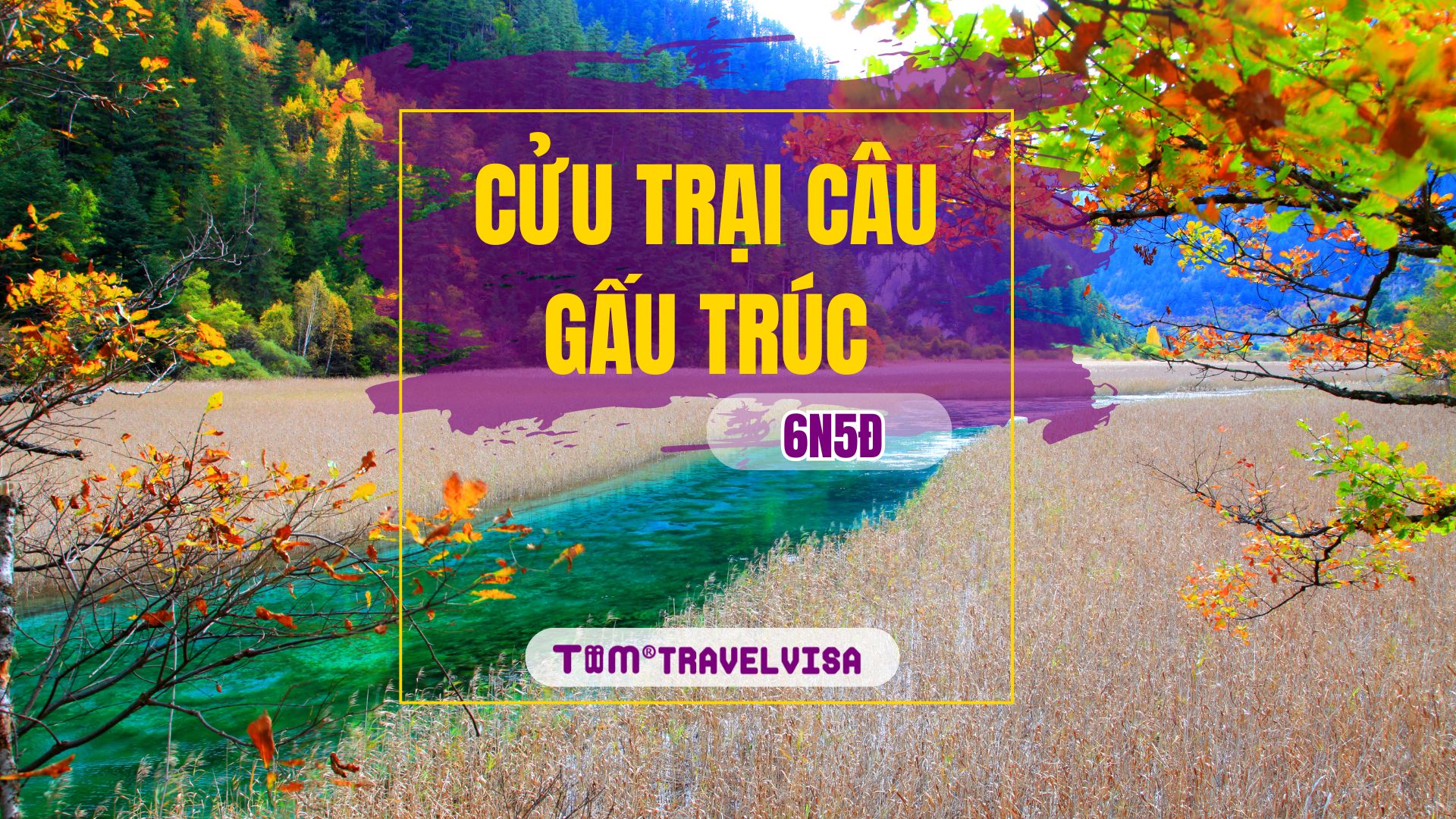CỬU TRẠI CÂU - GẤU TRÚC THÀNH ĐÔ 6N5Đ Khởi hành tháng 3/2025