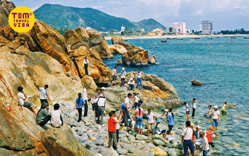 Du lịch Phú Yên cùng tour máy bay Quy Nhơn - Phú Yên 3 ngày 2 đêm của TiimTravel