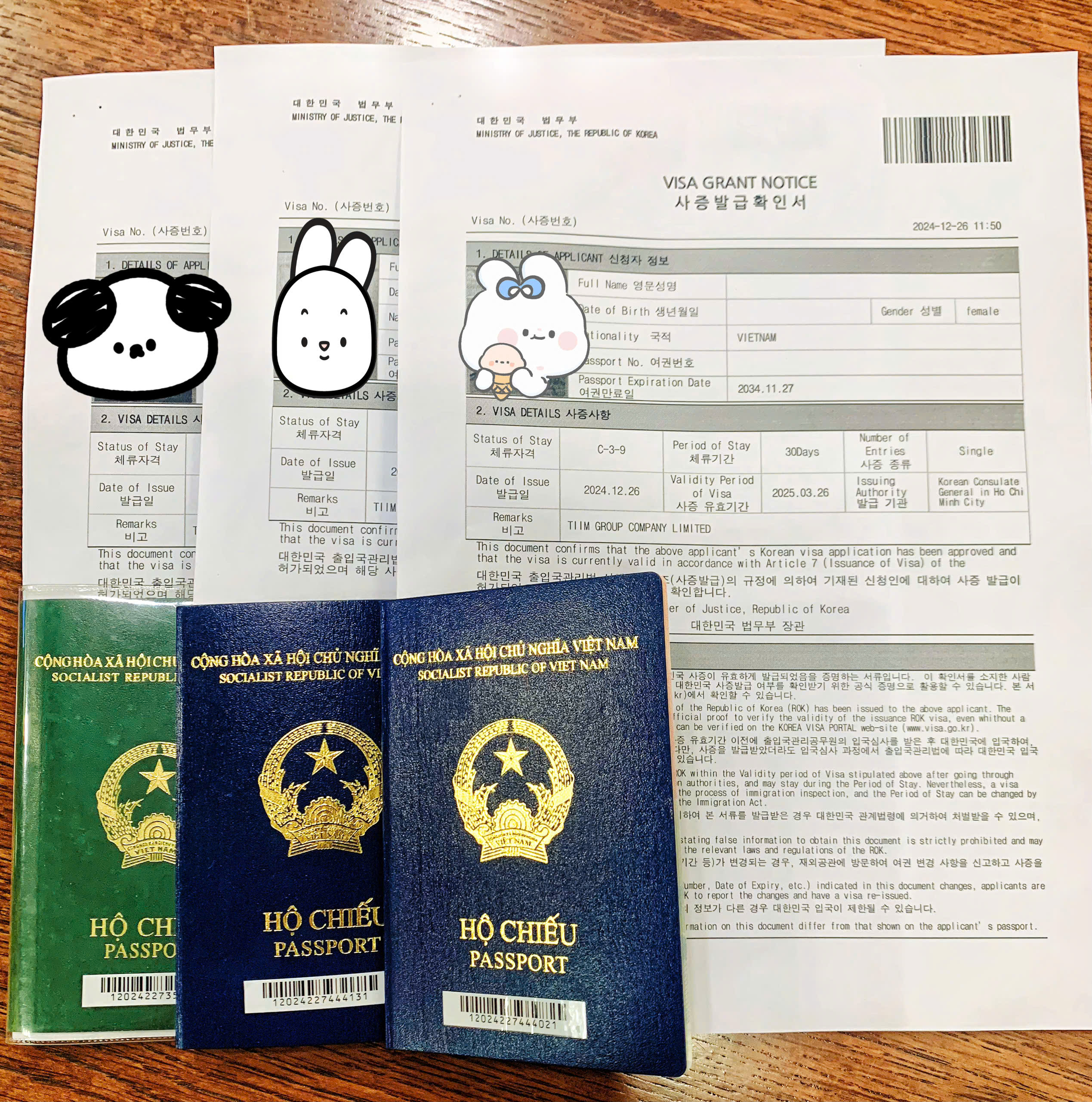 visa hàn quốc