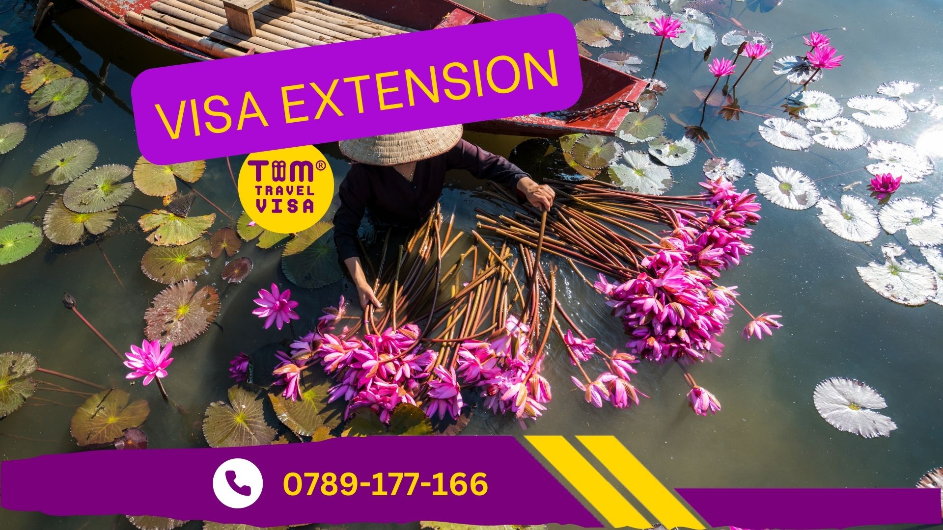 Dịch vụ tư vấn gia hạn visa Việt Nam