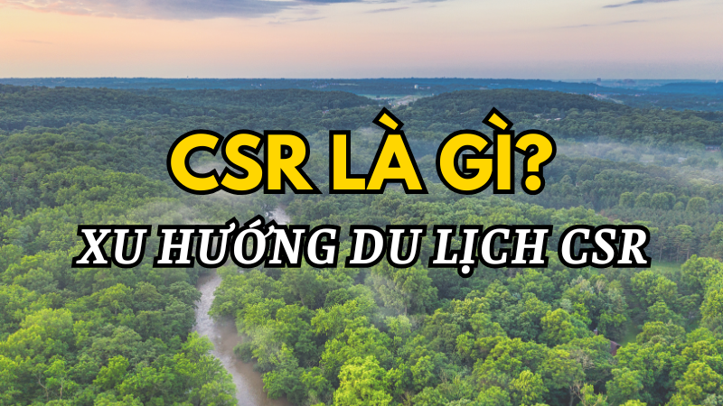 CSR Là Gì? Xu Hướng Du Lịch CSR - Hành Trình Kiến Tạo Giá Trị Bền Vững