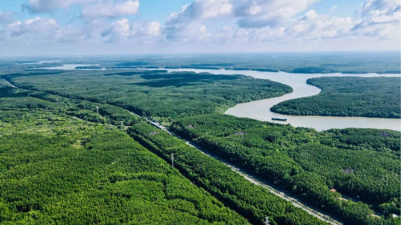 Rừng Ngập Mặn Cần Giờ (TP.HCM)