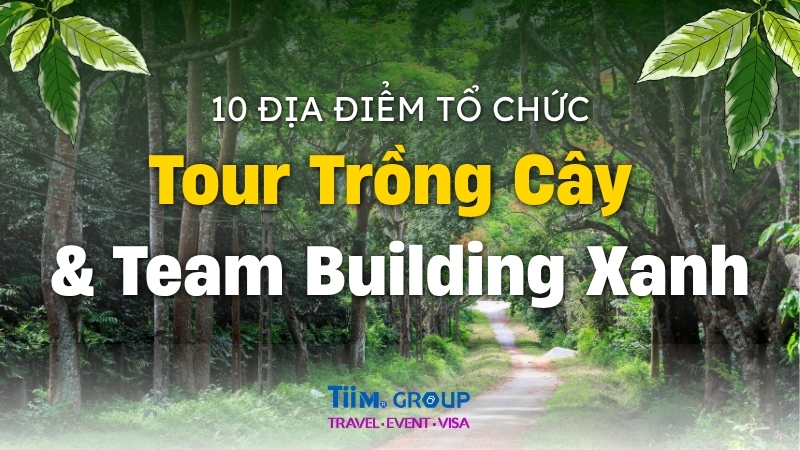 10 Địa Điểm Tổ Chức Tour Trồng Cây & Team Building Xanh Bền Vững