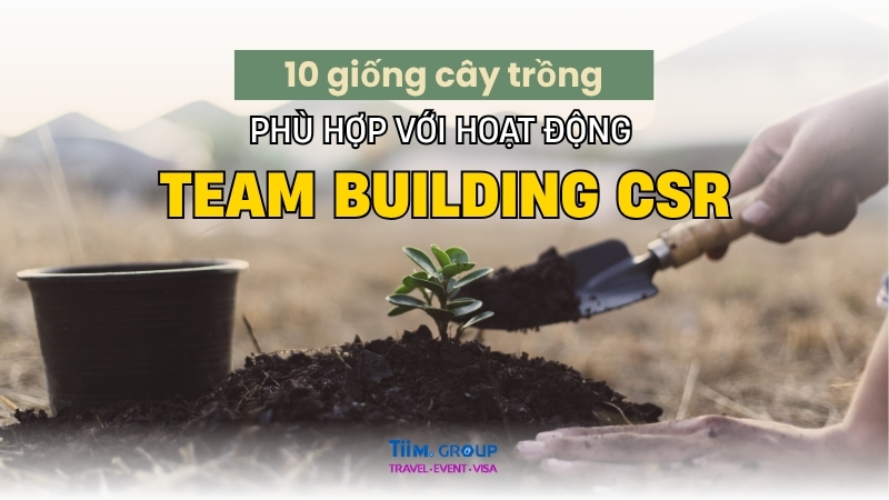 10 GIỐNG CÂY TRỒNG LÝ TƯỞNG CHO TEAM BUILDING CSR VÀ ĐỊA ĐIỂM TỔ CHỨC PHÙ HỢP